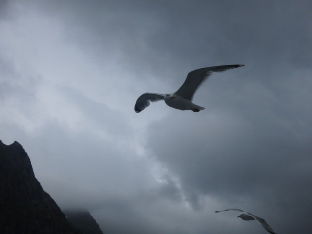 Hurtigruten_2015-06-25_17-12-4